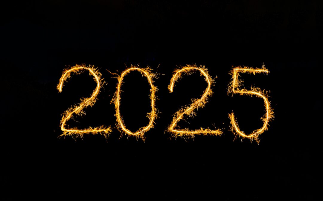 What’s Your Word For 2025:  Perspective and Fearless